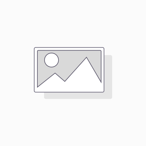 2× Hieff Canace™ AdvanceFast High-Fidelity PCR Master Mix (With Dye) - 1 mL
