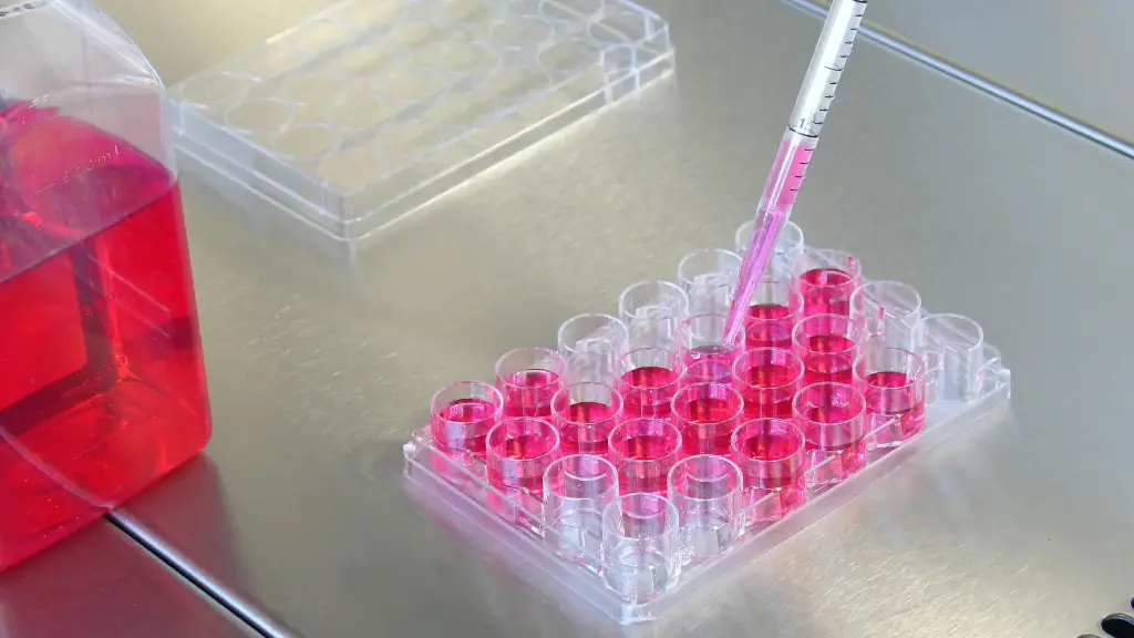 RT-LAMP Dye Assay Kit (UDG plus) Fluorescent - 1000 Tests
