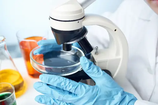 [13762ES60] RT-LAMP Dye Assay Kit (UDG plus) Fluorescent - 100 Tests
