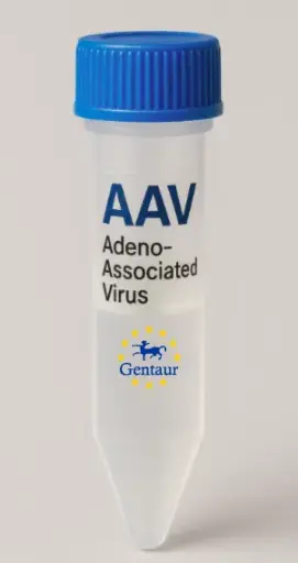 [MA-744] Cd59b AAV Vector (Mouse) (CMV)