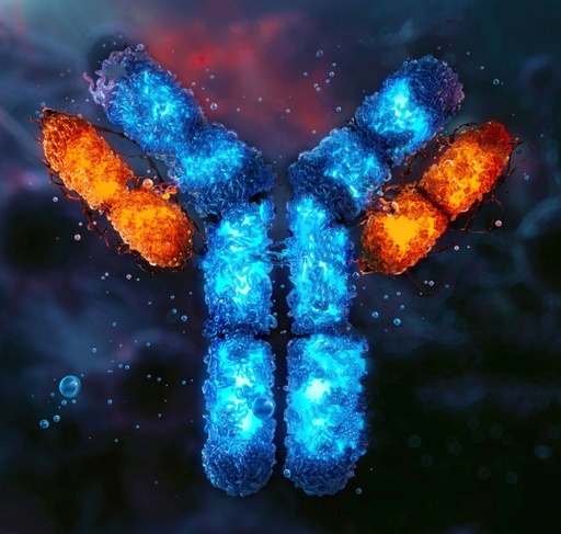 HSL (Phospho- Ser660) Antibody - 100µg